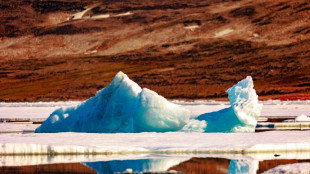Arctic warming four times faster than rest of Earth: study 