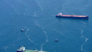 US puts plan to cut ship emissions in troubled waters