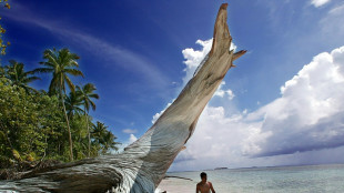 More than 80% of Tuvalu seeks Australian climate visa