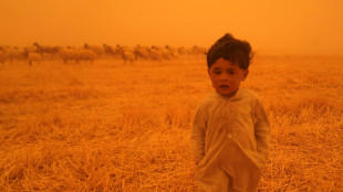 Iraq sandstorm grounds flights, sends 1,000 to hospitals