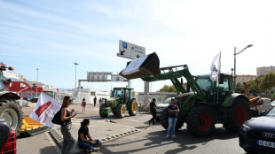 S&eacute;cheresse: des agriculteurs en col&egrave;re bloquent les ports de Bastia et Ajaccio