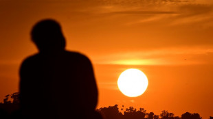 'Human-induced' climate change behind deadly Sahel heatwave: study