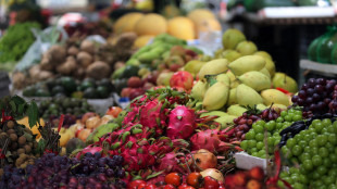 La dieta per i reni, no a zuccheri e grassi e tanta frutta e verdura