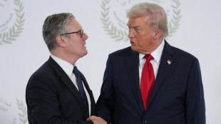 Trump says US-UK relationship 'not like it used to be'