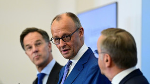 Merz erwartet von Koalitionsausschuss "gro&szlig;en Sprung nach vorn"