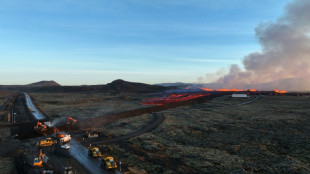 Un volc&aacute;n entra en erupci&oacute;n en Islandia 