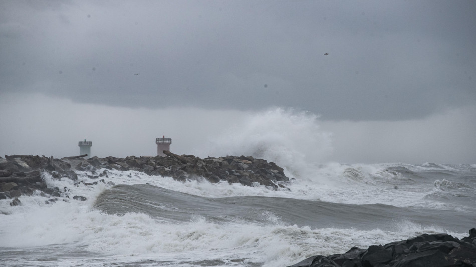 L'acqua del mare per l'agricoltura vince Mad for Science 2025