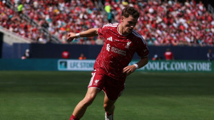 Nach Carragher-Kritik: Rolfes verteidigt Wirtz