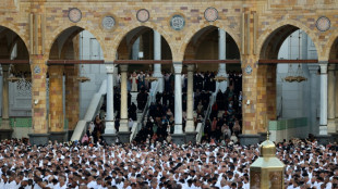 Arabia Saudita libera a un conocido religioso iran&iacute; detenido