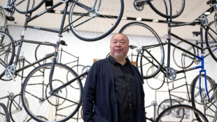 Ai Weiwei warns of 'shaking foundation' of democracy