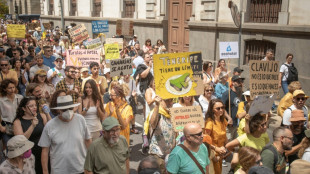 Mass protests in Canary Islands decry overtourism