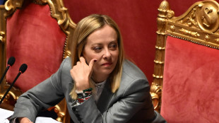 Meloni, orgogliosi del nostro contributo silenzioso e costante