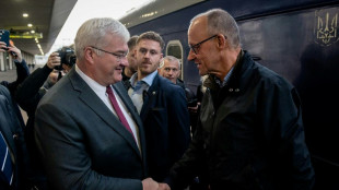 Germany's Merz in Kyiv for talks with Zelensky