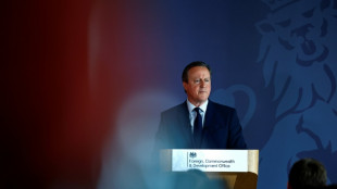UK's Cameron urges NATO countries to boost defence spending