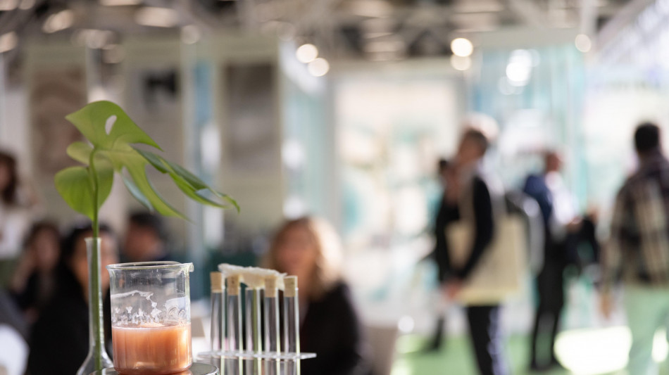 La cosmesi green &egrave; pi&ugrave; amata dalle donne giovani e istruite