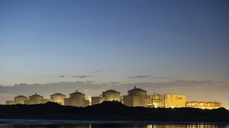 Des m&eacute;duses forcent l'arr&ecirc;t de la centrale nucl&eacute;aire de Gravelines