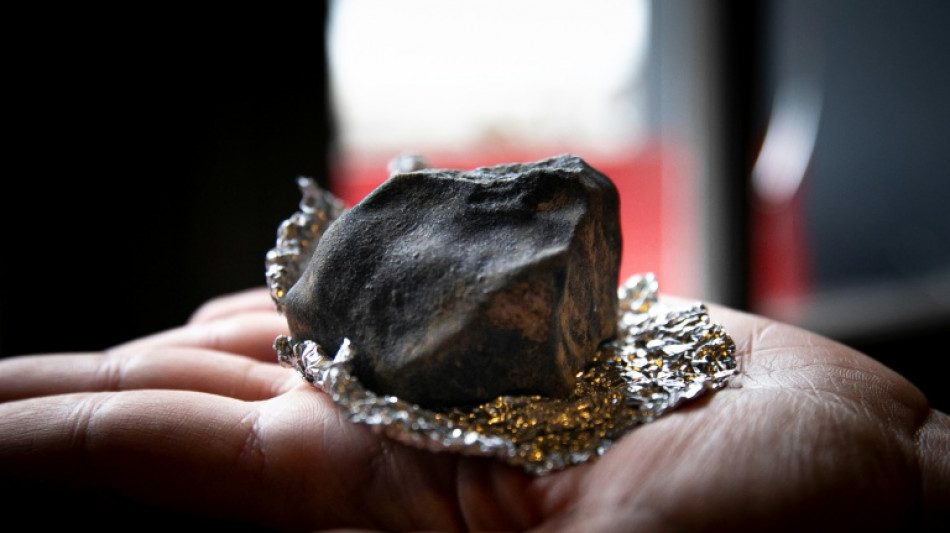 Amateur astronomers help track asteroid to French impact site