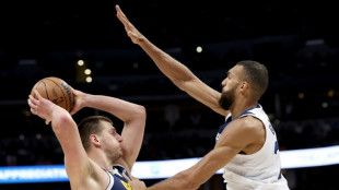 Wolves ready for Nuggets 'great challenge': Gobert