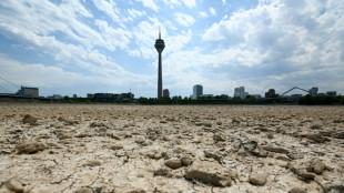 2022 Europe's hottest summer on record: EU monitor 