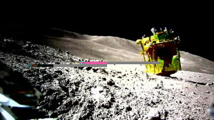 Lunar night puts Japan's lander back to sleep