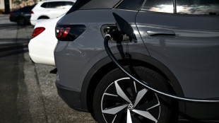 Bumpy ride for electric cars in Europe