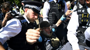 Police arrest more Palestine Action supporters