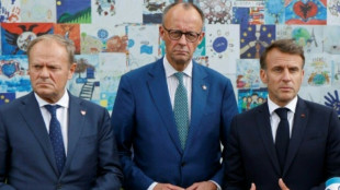 Merz reist mit Macron und Tusk nach Moldau - Signal der Unterst&uuml;tzung an Unabh&auml;ngigkeitstag