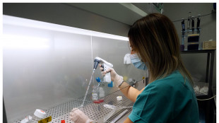 Trovata una proteina nemica dell'Alzheimer, &egrave; prodotta dai tumori