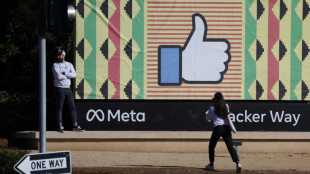 Facebook co-workers now 'Metamates' as image evolves