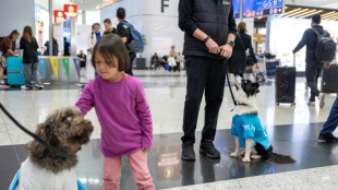 Cães treinados para distrair passageiros no aeroporto de Istambul