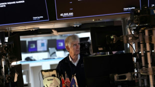 Wall Street marque le pas, attend les r&eacute;sultats d'entreprises