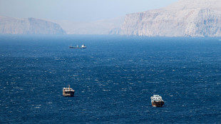 Iran, 'nessuna nave americana ha osato avvicinarsi allo stretto di Hormuz'