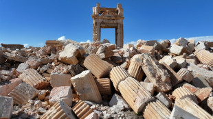 US troops in Syria killed in IS ambush attack