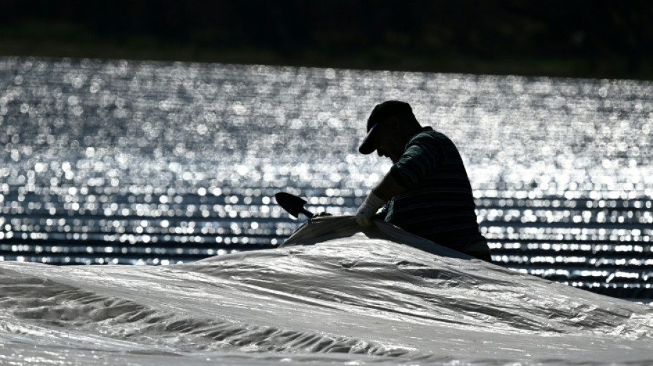 Saisonarbeiter: Arbeitsministerium will sozialversicherungsfreie Zeit verl&auml;ngern