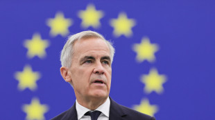 Carney a Trump, 'un Canada pi&ugrave; forte &egrave; pi&ugrave; efficace anche per gli Usa'