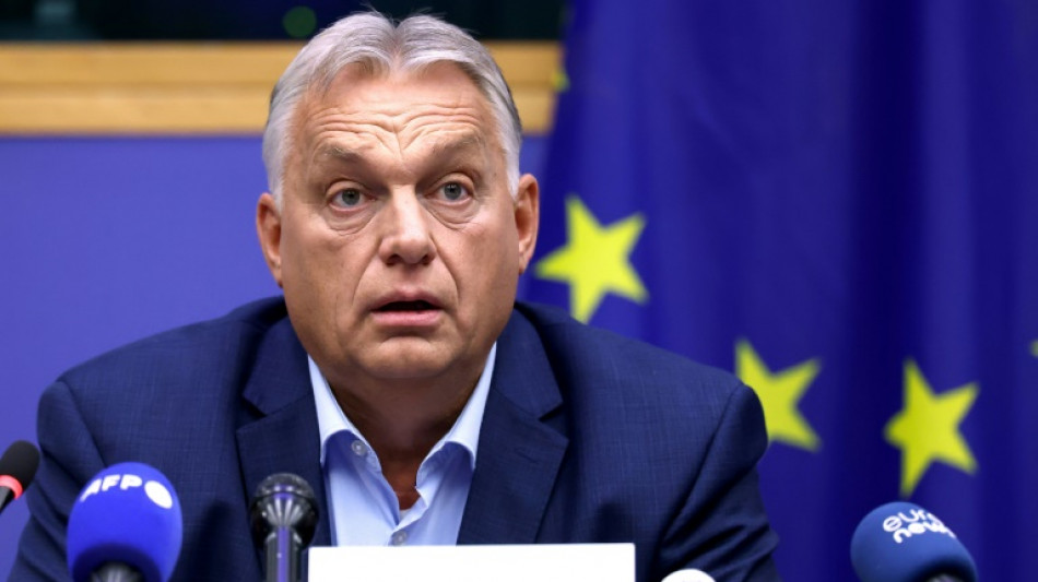 Orban diz que comemorar&aacute; com champanhe se Trump for eleito e pede nova estrat&eacute;gia para Ucr&acirc;nia