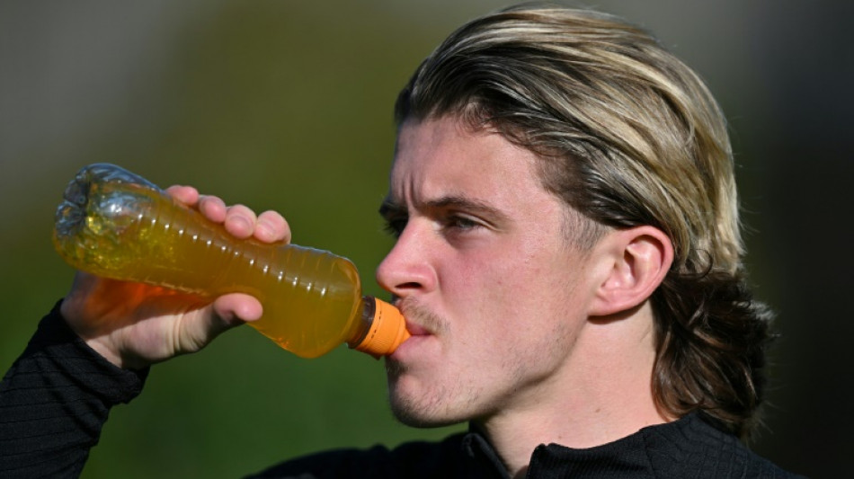 'Fantastic' Gallagher will benefit from England World Cup call: Potter