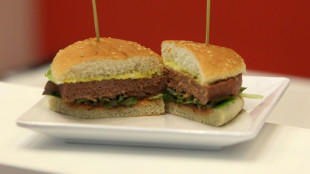 Les "steaks végétariens" sur le gril du Parlement européen