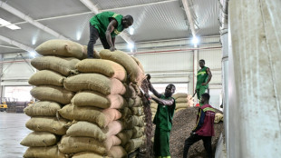Ivory Coast cuts cocoa producer price by nearly 60 percent: govt