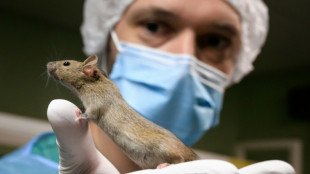 Animal testing put to the test in Swiss vote
