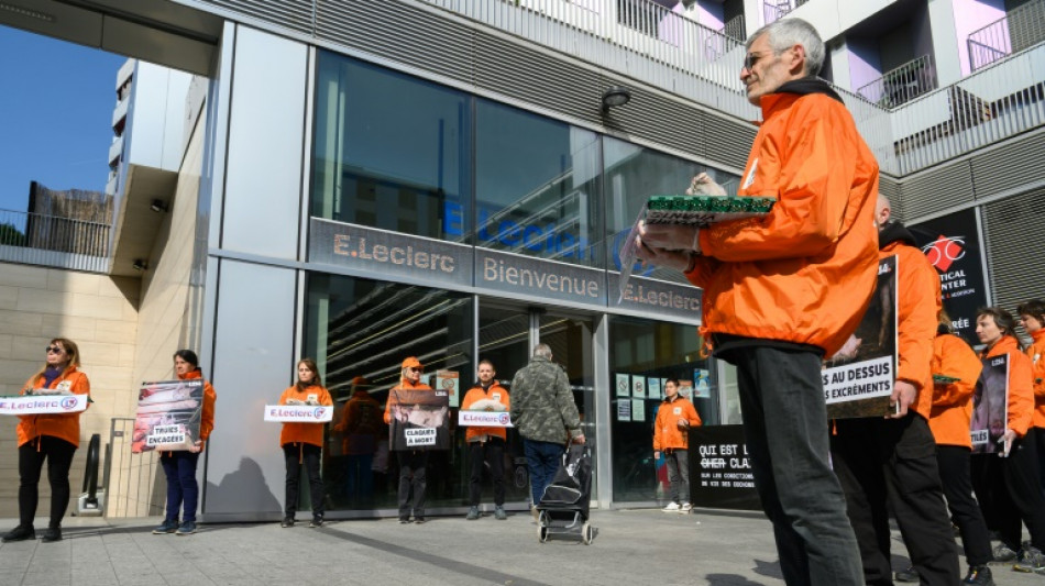 L214 amène des cadavres de porcelets devant un Leclerc parisien