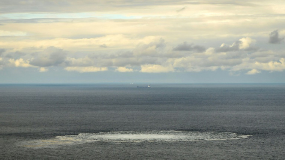 Ukrainian refuses German extradition in Nord Stream sabotage case