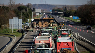 Dermatose: mobilis&eacute;s sur l'A64, des agriculteurs pr&ecirc;ts &agrave; y "passer No&euml;l s'il le faut"