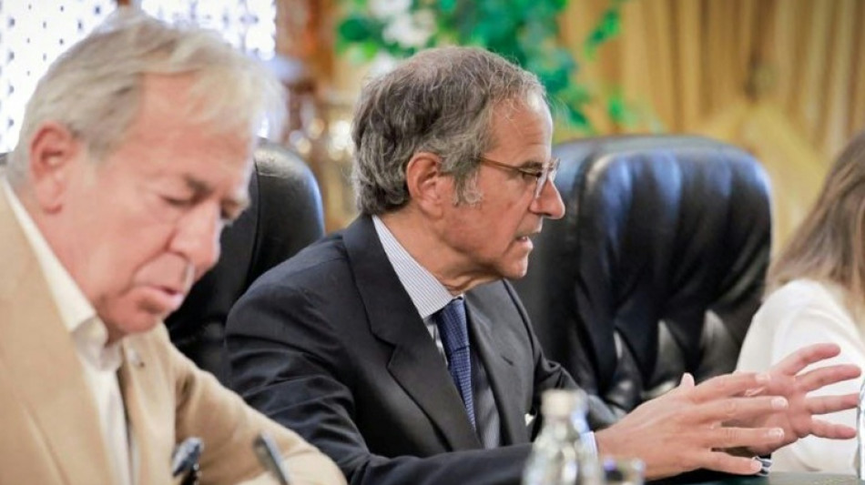 Governo Assad realizava atividades nucleares n&atilde;o declaradas na S&iacute;ria, diz AIEA