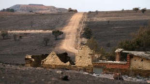 Además del cambio climático, la despoblación rural quema España