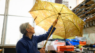Slovenia's umbrella doctor weathers the economic storm