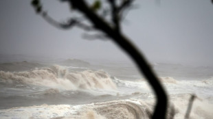 À La Réunion, les coraux lourdement endommagés par le cyclone Garance