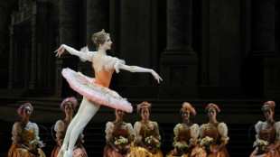 Russian ballet show in South Korea cancelled amid Ukraine tensions