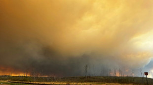Weather eases Canadian oil sands city wildfire menace