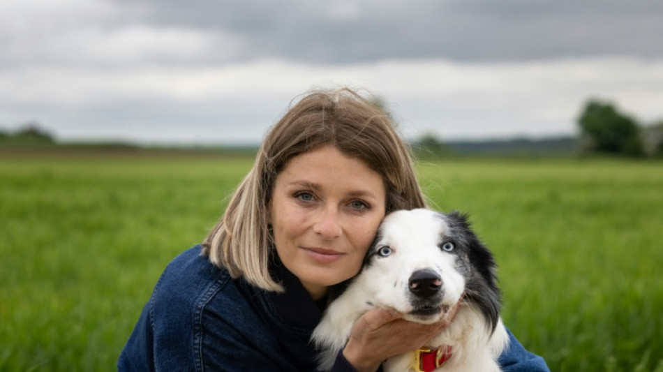 Star dog Messi will interview stars on Cannes red carpet